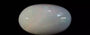 Australian Opal - 6.71 Carat Limited Quality OPL-11331