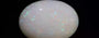 Australian Opal - 7.37 Carat Limited Quality OPL-11467