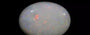 Australian Opal - 7.56 Carat Limited Quality OPL-11461