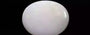 Australian Opal - 7.88 Carat Limited Quality OPL-11250
