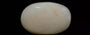 Australian Opal - 8.14 Carat Prime Quality OPL-11354