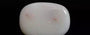 Australian Opal - 9.13-Carat Prime-Quality OPL-11208