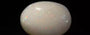 Australian Opal - 9.20 Carat Limited Quality OPL-11433