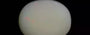 Australian Opal - 9.47 Carat Prime Quality OPL-11385