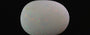 Australian Opal - OPL-11187  Fine-Quality 3.04-Carat
