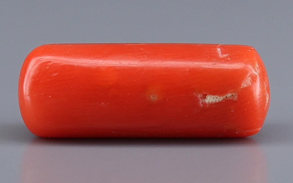 Red Coral - 6.72 Carat (7.43 Ratti - Moonga)