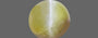 Brazilian Cat's Eye - 2.66 Carat Fine Quality CE-10526