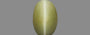 Cat's Eye - 2.39 Carat Prime Quality CE-10780