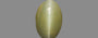 Cat's Eye - 2.53 Carat Prime Quality CE-10770