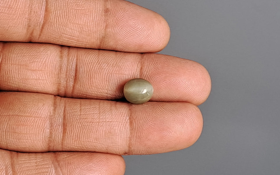 Cat's Eye - 2.64 Carat Prime Quality CE-10775