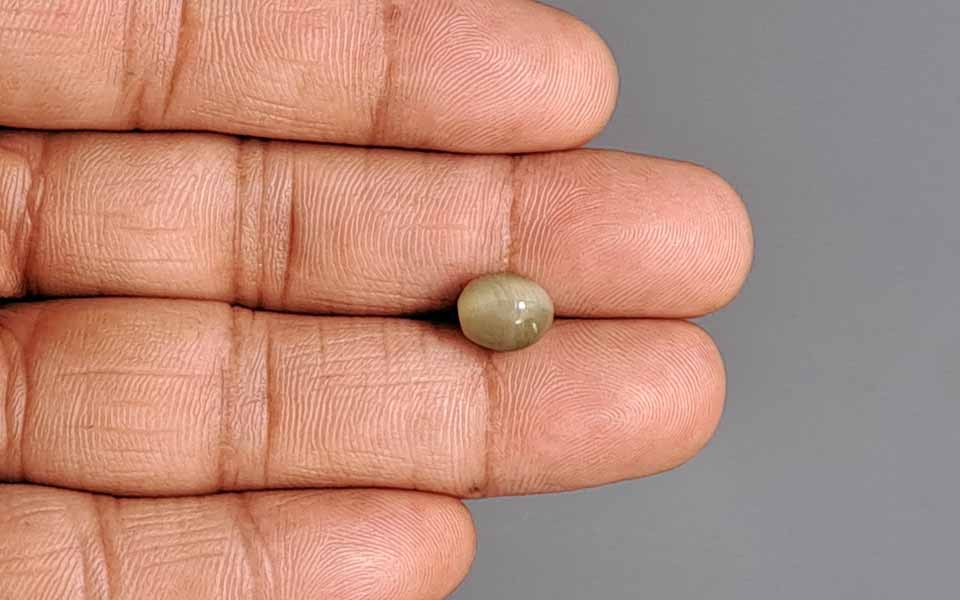 Cat's Eye - 3.07 Carat Prime Quality CE-10728