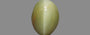 Cat's Eye - 3.26 Carat Prime Quality CE-10769