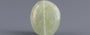 Cat's Eye - 6.26 Carat Prime Quality CE-10781