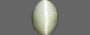 Cat's Eye - 8.91 Carat Prime Quality CE-10668