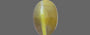 Ceylon Cat's Eye - 1.5 Carat Prime Quality CE-10505