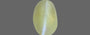 Ceylon Cat's Eye - 1.99 Carat Limited Quality CE-10506