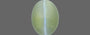 Ceylon Cat's Eye - 1.46 Carat Limited Quality CE-10508