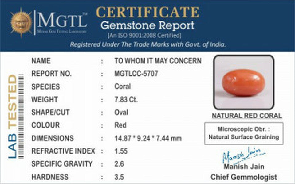 Red Coral - CC 5707 (Origin - Italy) Rare - Quality