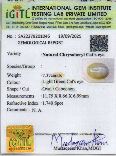 Ceylon Cat's Eye - 7.37 Carat Prime Quality CE-10786