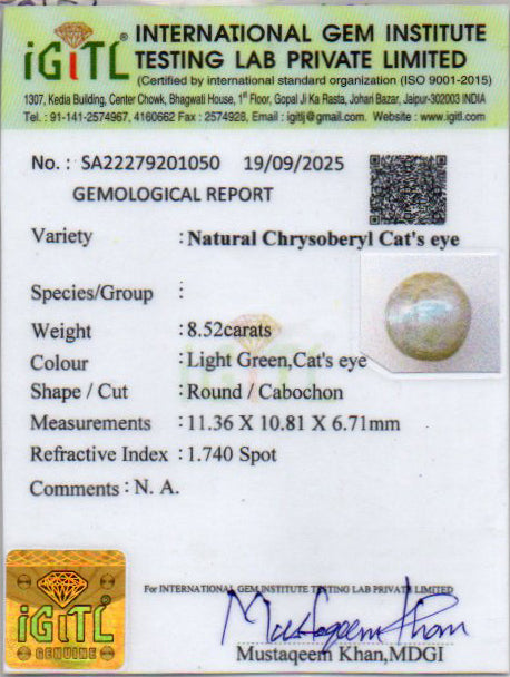 Ceylon Cat's Eye - 8.52 Carat Prime Quality CE-10791