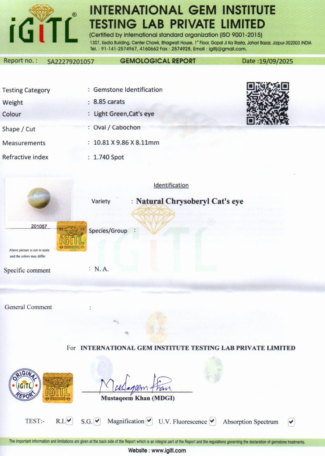 Ceylon Cat's Eye - 8.85 Carat Prime Quality CE-10794