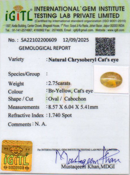 Ceylon Cat's Eye - 2.75 Carat Rare Quality CE-10809