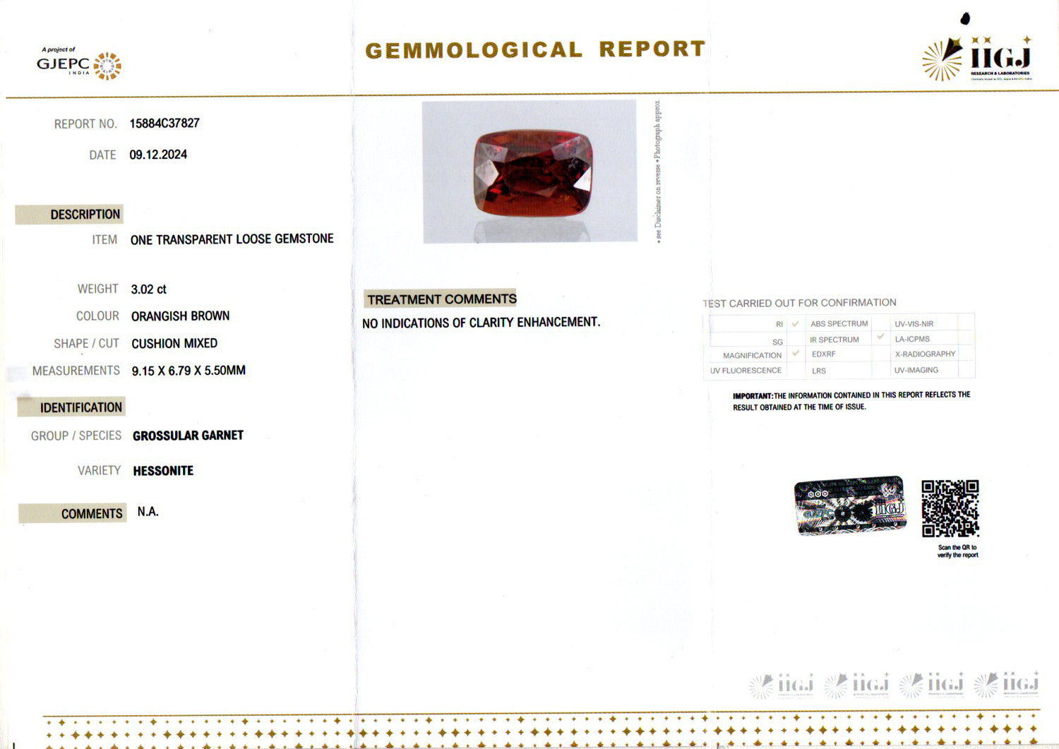 Ceylon Hessonite Garnet - 3.02 Carat Rare Quality HG-8113