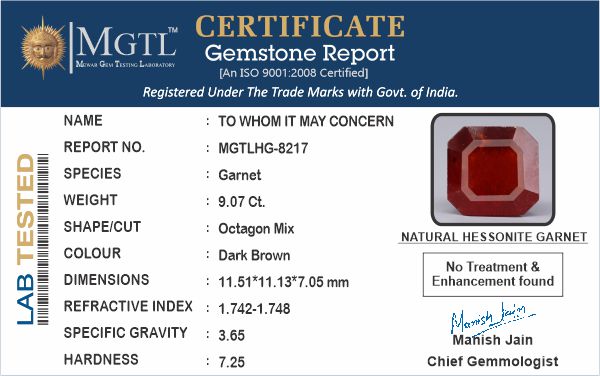 African Hessonite Garnet  9.07 Carat Prime Quality HG-8217