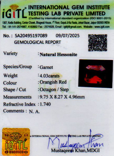 Ceylon Hessonite Garnet - 4.03 Carat Prime Quality HG-8346