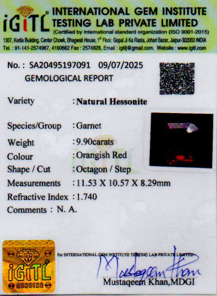 Hessonite (Gomed) - 9.90 Carat