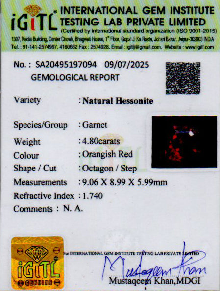 Ceylon Hessonite Garnet - 4.80 Carat Prime Quality HG-8355