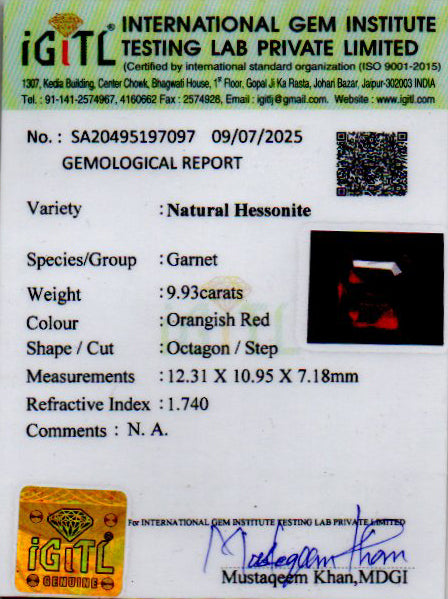 Ceylon Hessonite Garnet - 9.93 Carat Prime Quality HG-8358