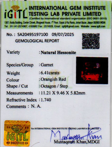 Ceylon Hessonite Garnet - 6.41 Carat Prime Quality HG-8364