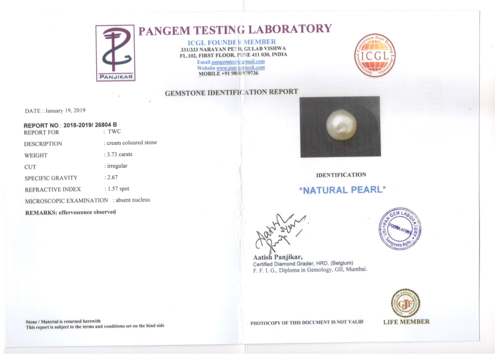 Keshi Pearl - 3.73 Carat Prime Quality SSP-8692