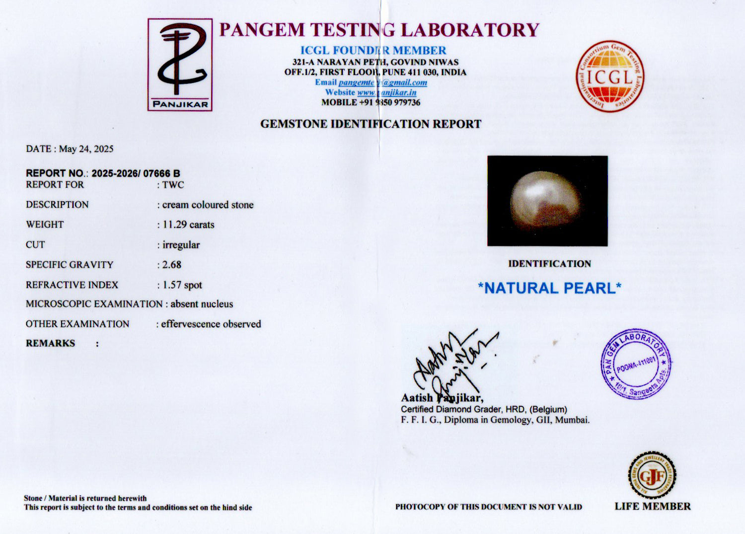 Keshi Pearl - 11.29 Carat Limited Quality SSP-8967