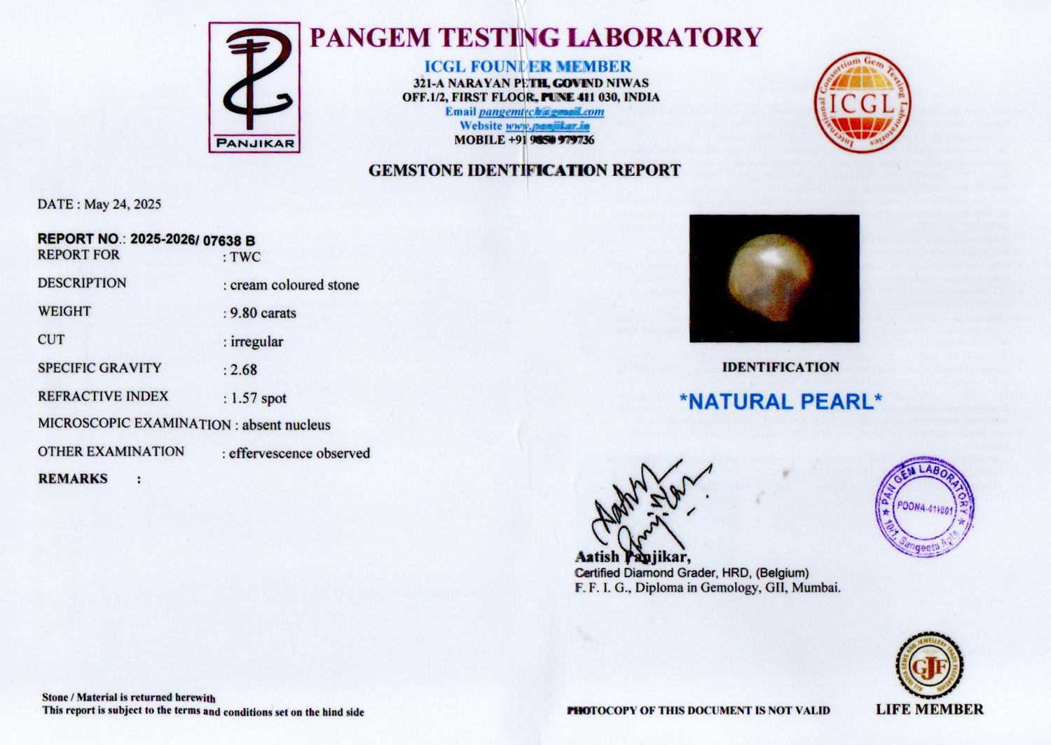 Venezuela Pearl - 9.80 Carat Limited Quality SSP-9048