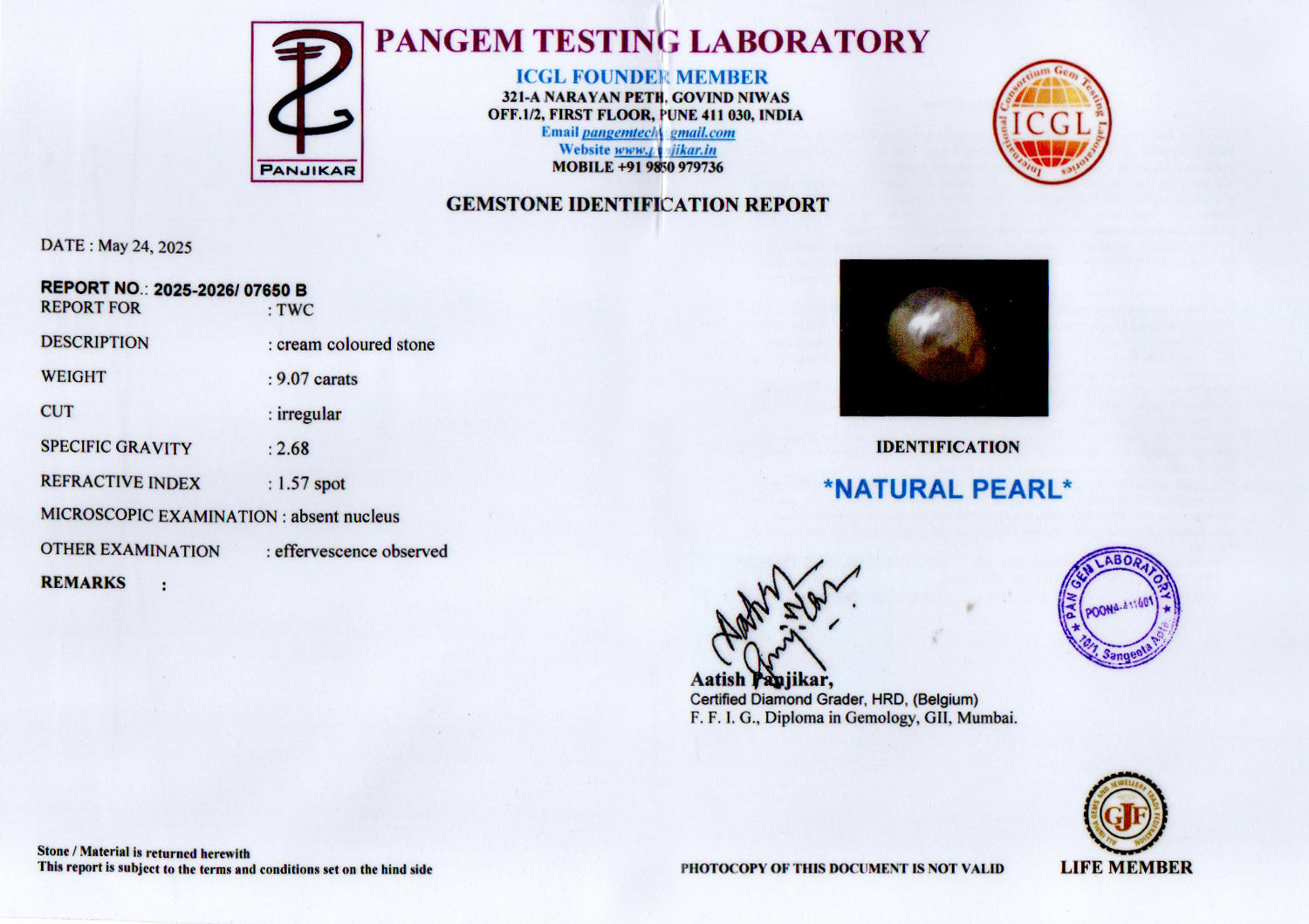 Venezuela Pearl - 9.07 Carat Limited Quality SSP-9051
