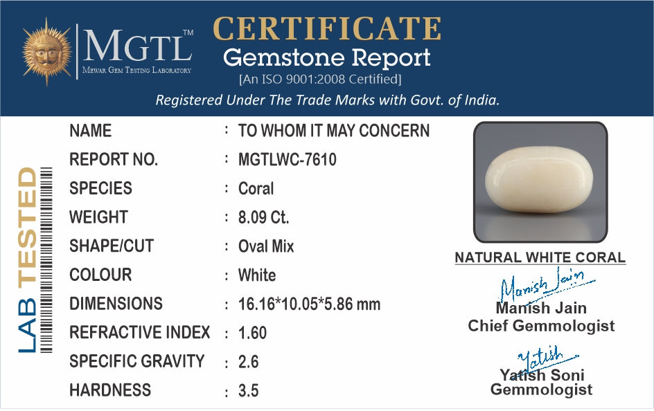 Italian White Coral - 8.09 Carat Prime Quality WC-7610