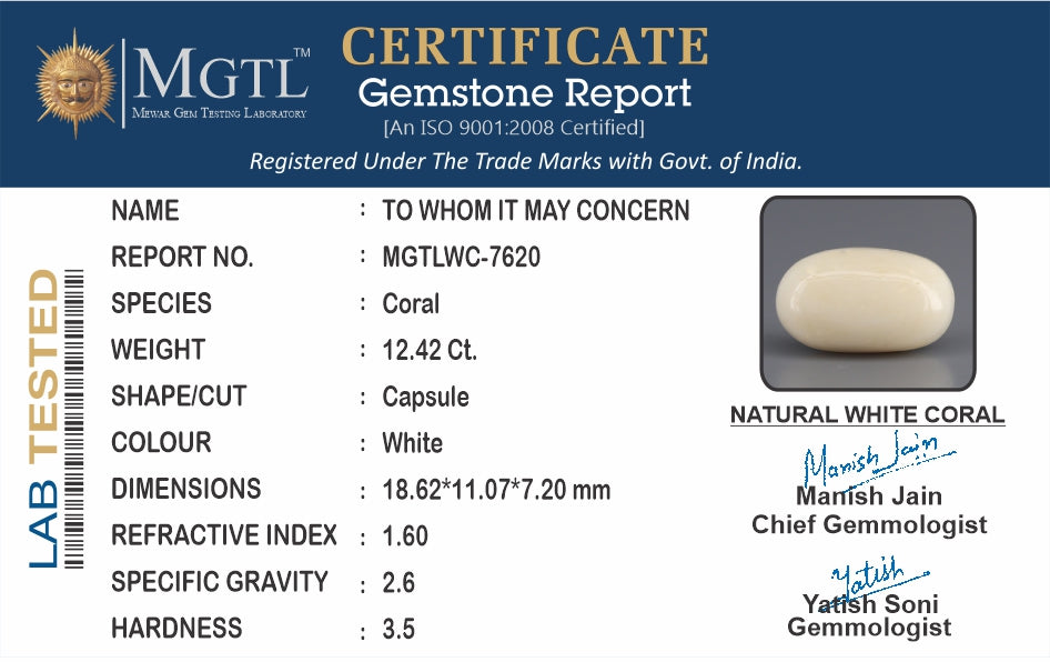 Italian White Coral - 12.42 Carat Prime Quality WC-7620