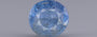 Blue Sapphire - 3.20 Carats