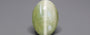 Ceylon Cat's Eye - 10.64 Carat Prime Quality CE-10806