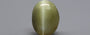 Ceylon Cat's Eye - 2.54 Carat Limited Quality CE-10708