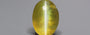 Ceylon Cat's Eye - 2.75 Carat Rare Quality CE-10809
