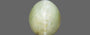 Ceylon Cat's Eye - 2.86 Carat Prime Quality CE-10660