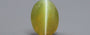 Ceylon Cat's Eye - 3.02 Carat Rare Quality CE-10712