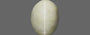 Ceylon Cat's Eye - 3.11 Carat Prime Quality CE-10646