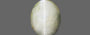 Ceylon Cat's Eye - 3.86 Carat Prime Quality CE-10643