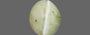 Ceylon Cat's Eye - 4.64 Carat Prime Quality CE-10647
