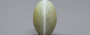 Ceylon Cat's Eye - 6.25 Carat Rare Quality CE-10704