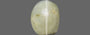 Ceylon Cat's Eye - 6.73 Carat Prime Quality CE-10636